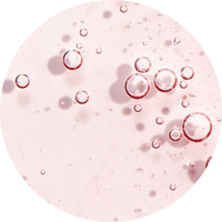 Ceramides